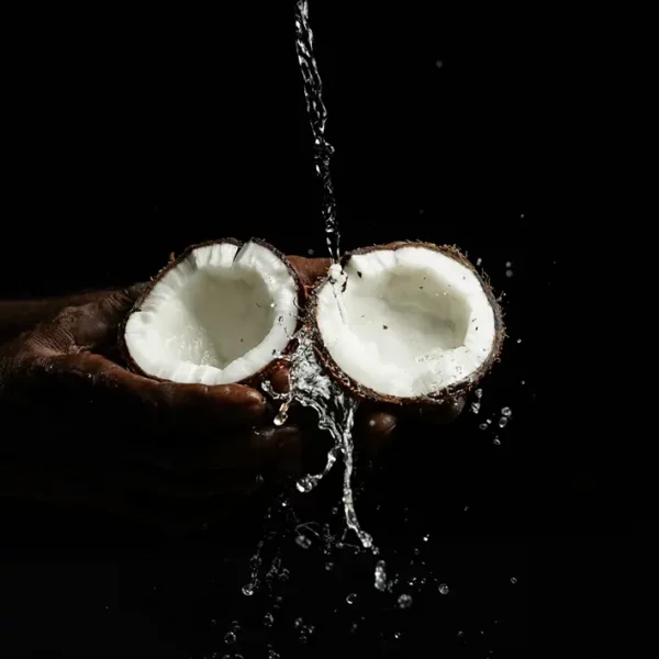 Kokosnussschalen zur Wasserreinigung - coconut shells for water purification